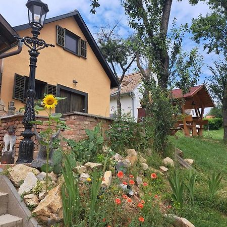 Macskajaj Vendeghaz Villa Mecseknádasd Exteriör bild