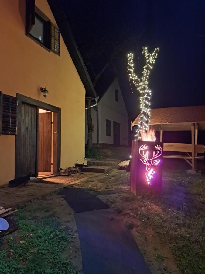 Macskajaj Vendeghaz Villa Mecseknádasd Exteriör bild
