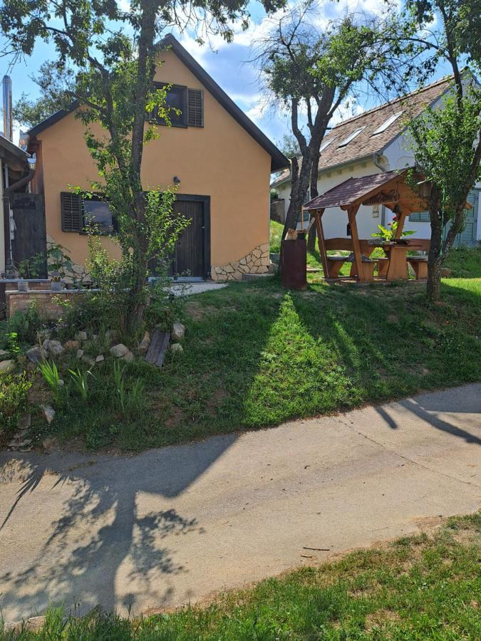 Macskajaj Vendeghaz Villa Mecseknádasd Exteriör bild