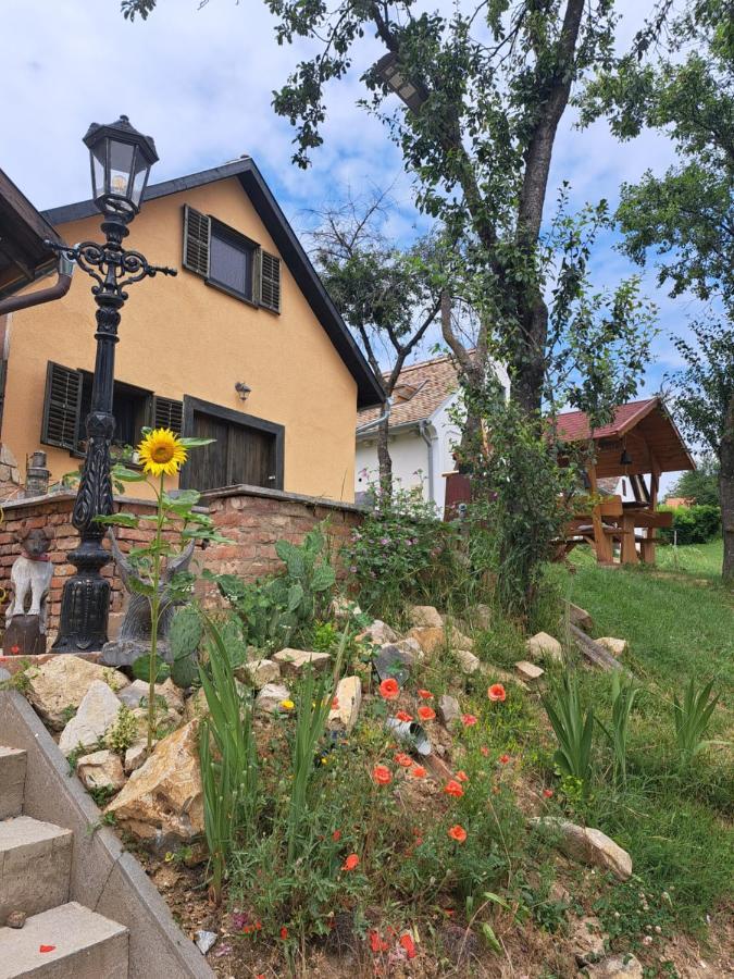 Macskajaj Vendeghaz Villa Mecseknádasd Exteriör bild