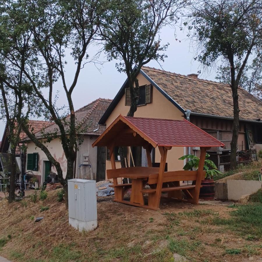 Macskajaj Vendeghaz Villa Mecseknádasd Exteriör bild
