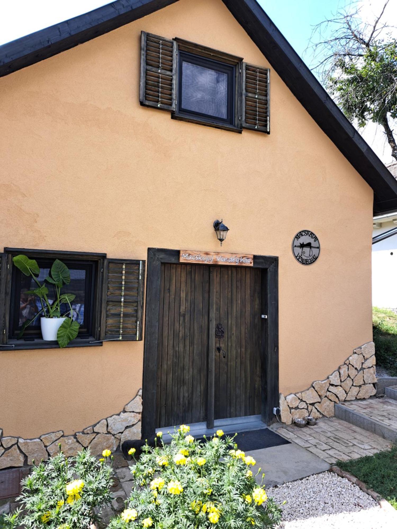 Macskajaj Vendeghaz Villa Mecseknádasd Exteriör bild
